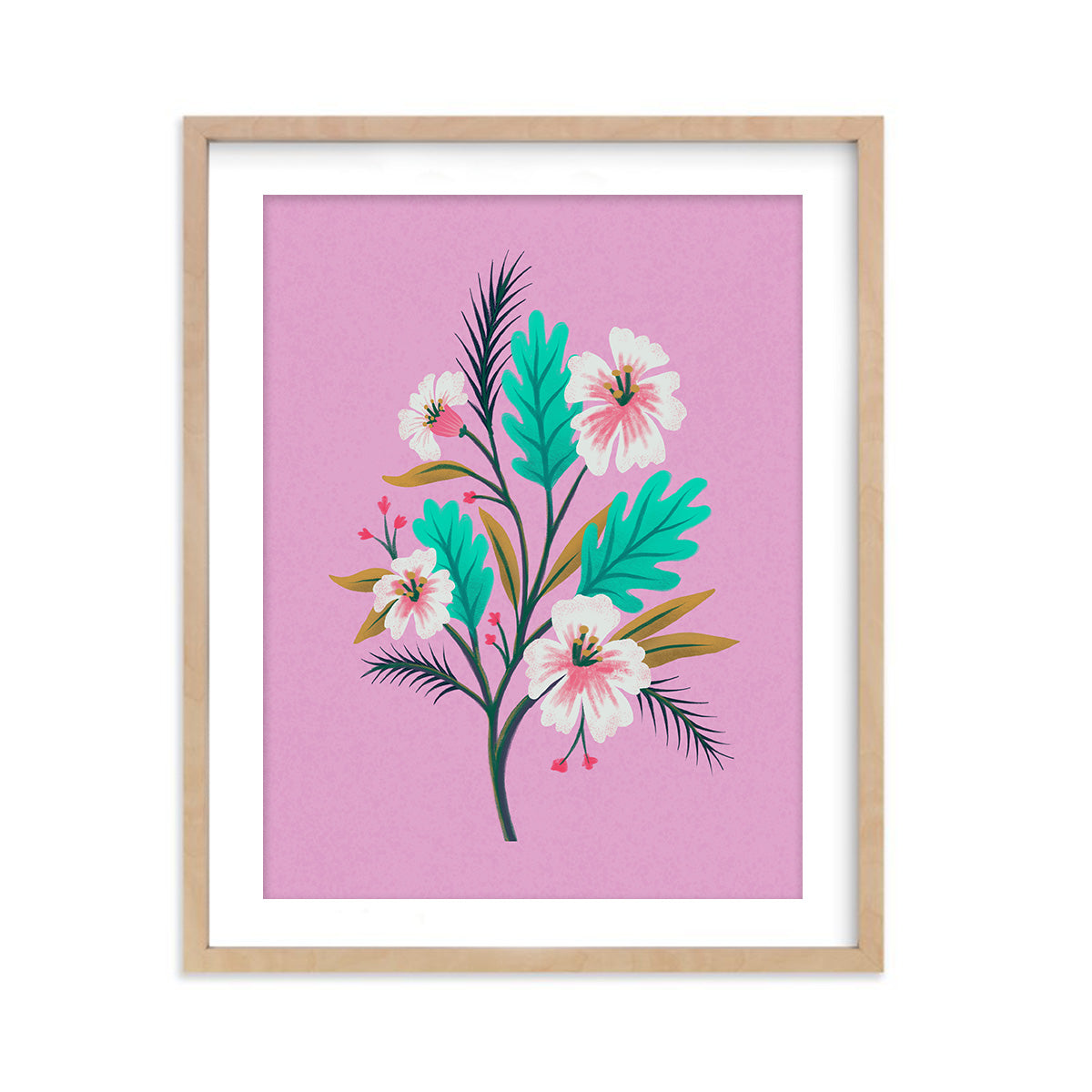 Havana Hibiscus - Art Print