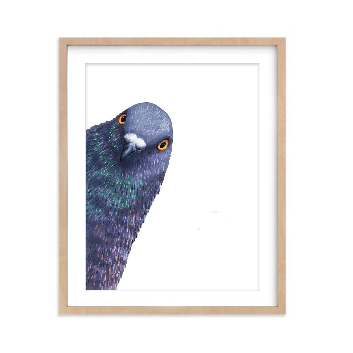 Peeking Pigeon - Art Print