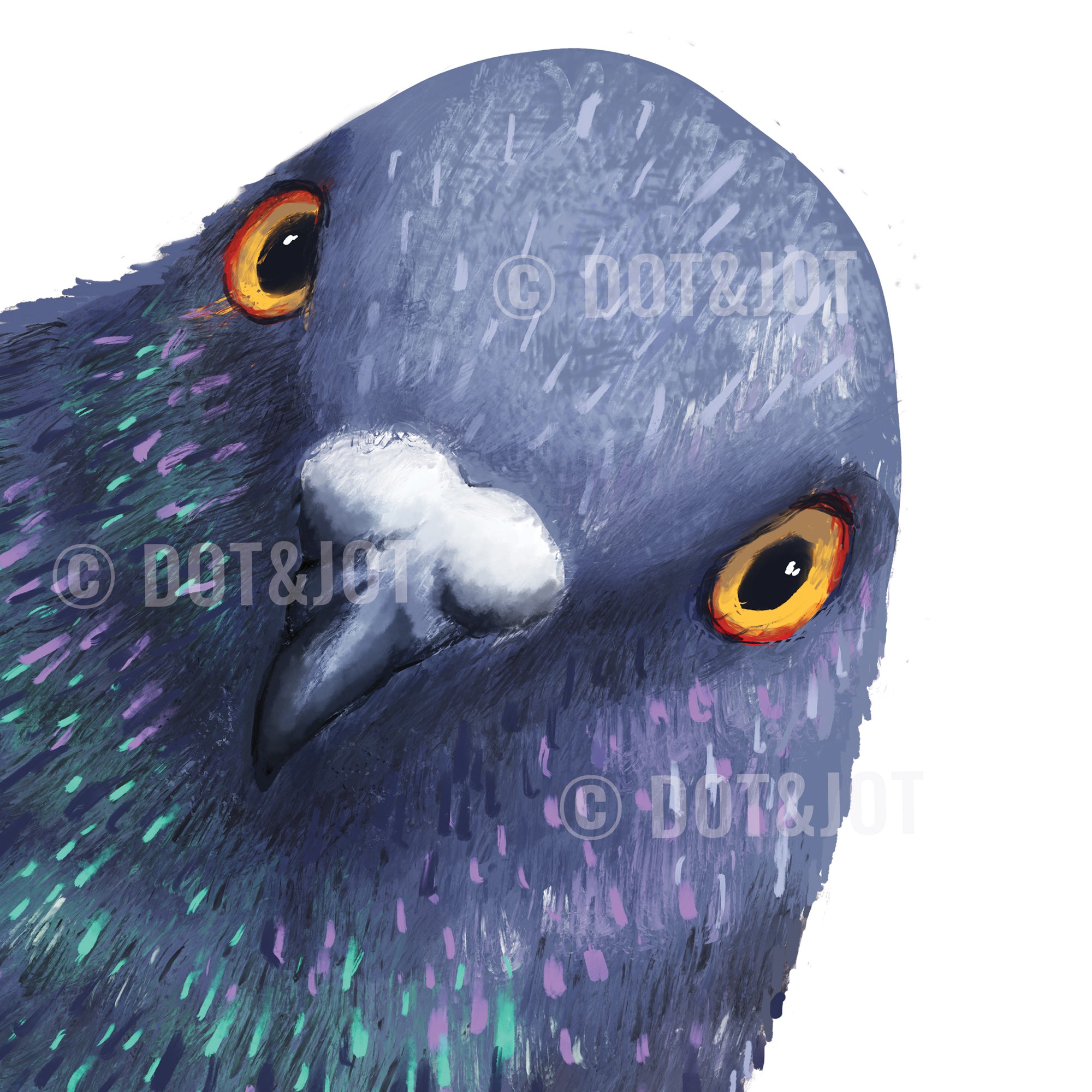 Peeking Pigeon Bird - Greeting Card